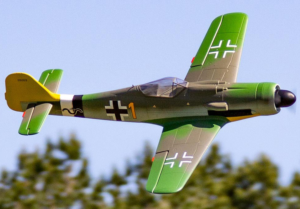 freewing fw 190